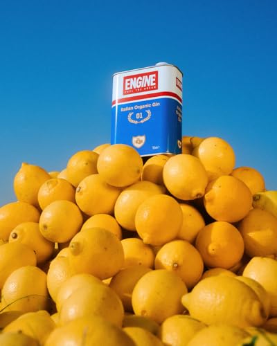 ENGINE Italian Organic Gin 01 42% Vol. 0,7l