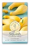 Gaea's Blessing Seeds - Crookneck Yellow Squash Seeds (3.0g) Non-GMO Seeds with Easy to Follow Planting Instructions - Heirloom Early Summer Squash 90% Germination Rate