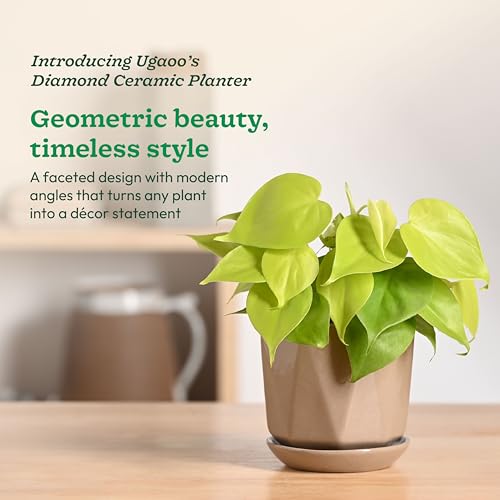 Image of UGAOO Diamond Ceramic Flower Pot for Indoor Plants, 4 Inch - Curtain Brown