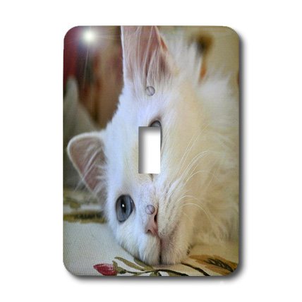 Interrupteur à baïonnette 3dRose LSP_52679_1 Relaxed Van Cat finition durable