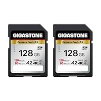 Amazon.co.jp: GIGASTONE SDカード 256GB メモリーカード A1 V30