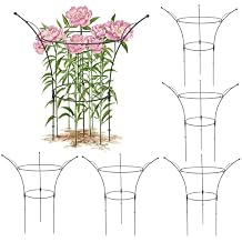6 Pack Peony Cages and Supports Cages 13" D x 22.8" H Heavy Duty Metal Support Frame for Peonies & Roses Natural Bouquet Shape Garden Stakes for Outdoor Plants Flowers Ornamental Black