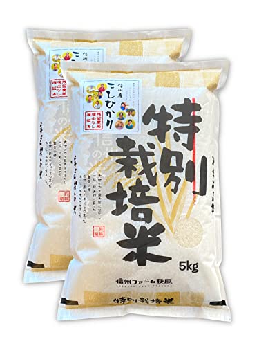 【新米】【白米】残留農薬不検出 信州産 こしひかり 10kg(5kg×2) 令和7年産 《精米》 米 お米 コメ 長野県 信州ファーム荻原