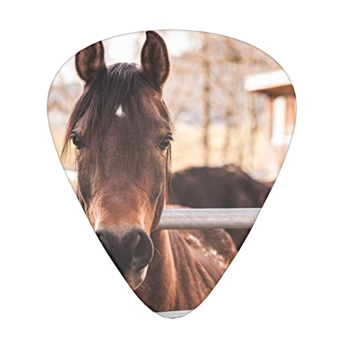 Ensemble de 12 médiators de guitare Brown Horses pour guitare acoustique, guitare électrique, contrebasse, ukulélé - Les Beatles, Paul McCartney, John Lennon, RIngo Starr, George Harrison Ensemble de 12 médiators de guitare Brown Horses pour guitare acoustique, guitare électrique, contrebasse, ukulélé