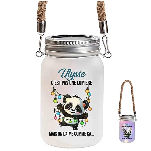 Lanterne Ulysse Panda Lumière | Lampe Jardin Idée Décoration Cadeau
