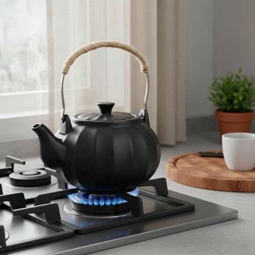 Bouilloire à thé compatible feu direct en céramique résistante aux hautes températures