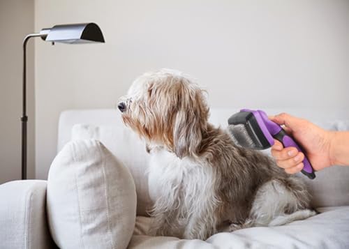 Self-Cleaning-Slicker-Brush-for-Dogs-Cats-Brush-for-Shedding-Grooming-Brushes-for-Long-Short-Haired-Pets-Purple