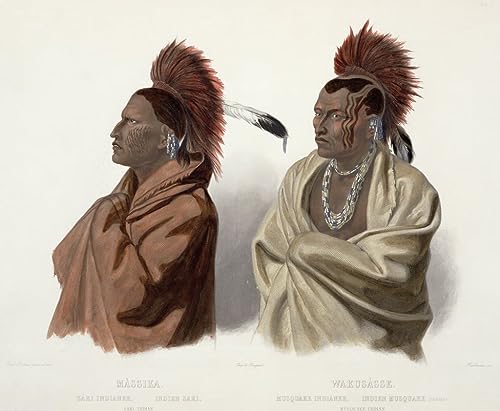 Pintura sobre lienzo Massika de Karl Bodmer reproducción artística de alta fidelidad 60x90cm