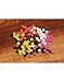 Hareline Dubbin Fly Tying Material Dazzle Brass Beads