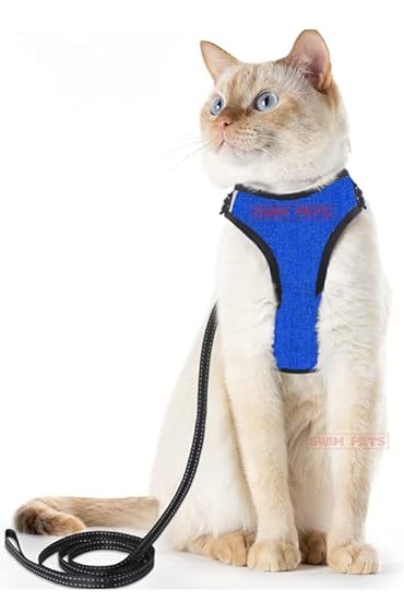 SWIM PETS Cat Harness + Leash (Combo) All in one Set.Small-Comfortable, Breathable. Kitten Harness, Escape Proof cat Collar ,Belt, Persian cat Vest Harness with Long Leash (Kitten)