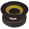 Fenton Basluidspreker HiFi kevlar 5,25 inch (13cm)