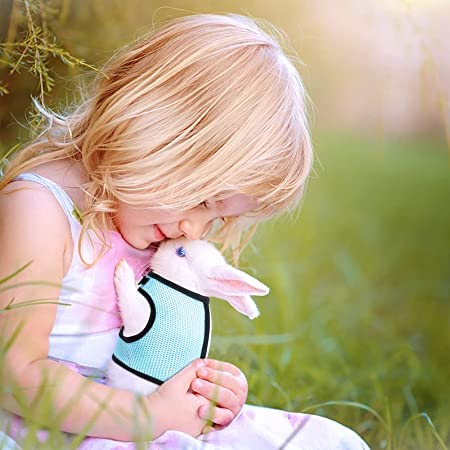 Weiches Kaninchen Geschirr Mit Leine - 2 Stück Mesh Kätzchen Haustier Hasen Geschirr Verstellbar Mit Elastischer Haustier Joggen Leine