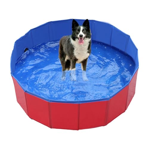 Piscina para cachorros, Piscina para perros, Bañera para perros - Baño para perros, Piscina plegable, Bañera para perros, Piscina interior y exterior, Regalos de verano para Chi, 80 cm, Se référer au