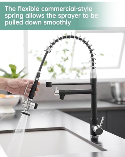 Image of Fapully Kitchen Sink Faucet, Pull Down Sprayer Kitchen Faucet Black&Chrome