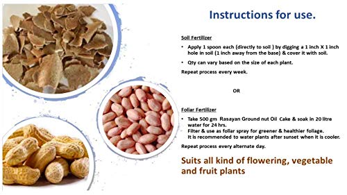 Rasayan Brand - Groundnut Oil Cake - Multipurpose Super Food for All Plants -for Healthy Plants and Soil - Ideal for Home and Terrace Gardens - Cattle Feed (2.8) - Image 4