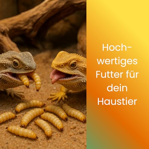 Lebende Bienenmaden – 3er Set (ca. 120 STK) – Premium Angelköder für Forellen & Saibling – Frische, aktive Ködermaden für Pose, Grundblei & Sbirolino – Lebendfutter