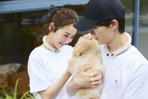 SUO for dogs 28°ICE {^tN[O COOL RING  N[lbN ₷ ybgp lbNN[[ ⊴O Ђ胊O yʃ^Cv N[O ₦ U q Lp ybg ΍ ėpi AEghA