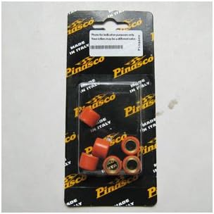 Pinasco Roller Weights (15x12 5.0g)