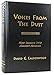 Voices from the Dust: New Insights into Ancient America a Comparative Evaluation of Early Spanish and Portuguese Chronicles, Archaeology and Art History, the Book of Mormon