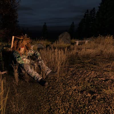 『Mein perfektes Survival Game』のカバーアート