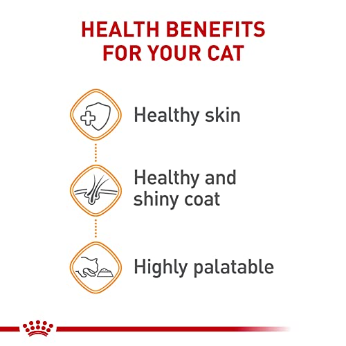 Royal Canin Feline Care Nutrition Hair & Skin Care Thin Slices in Gravy Canned Cat Food, 3 Ounce (Pack of 24)