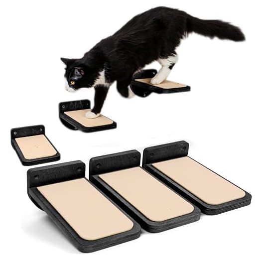 INICIO, Cat Wall Steps