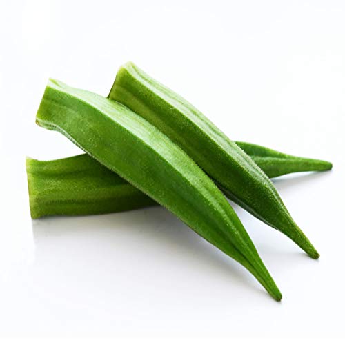 IN@10s(500g×20)@Ⓚ@؁@XłgƖp