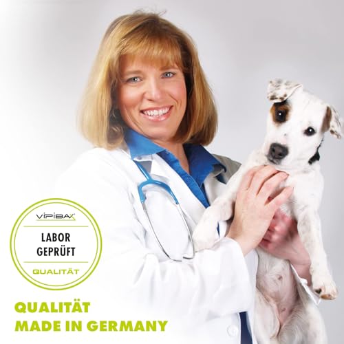 ViPiBaX Giardien Ex Wischkonzentrat 2,5L für Hund, Katze & Co- Geruchsentferner - Effektive Desinfektion gegen Giardien, Viren, Pilze & Bakterien.