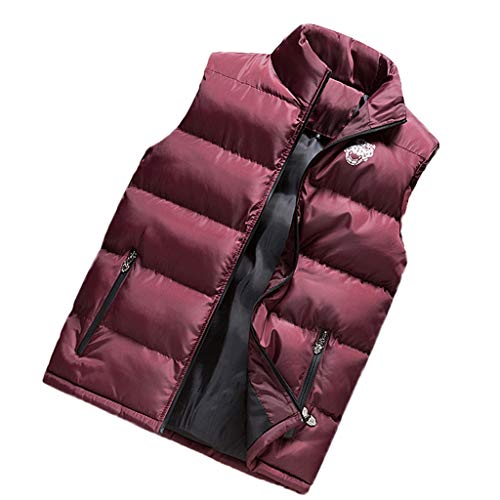 MEIbax Chaleco de Pluma y Algodón para Hombre Moda Estampado otoño Invierno Standing-Collar Calor Chalecos Sin Mangas Plumas Chaquetas Acolchado Cazadoras de Cremallera Color Puro del Bolsillo