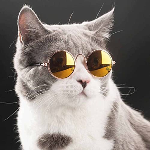 Round Pet Cat Glasses Lovely Sunglasses for Little Dog Cat Eye-wear Reflection Glasses Photos Props Pet Supplies(Pink) - Image 6