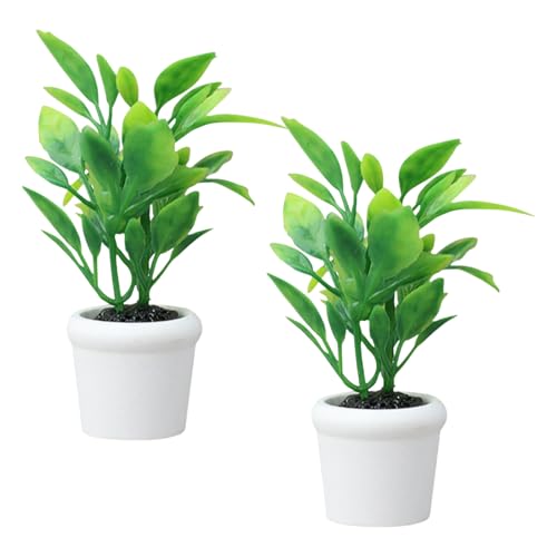 ϗtA~j`Aq̂߂̃h[nEXAȂႲVуANZT[ʐ^h[nEX