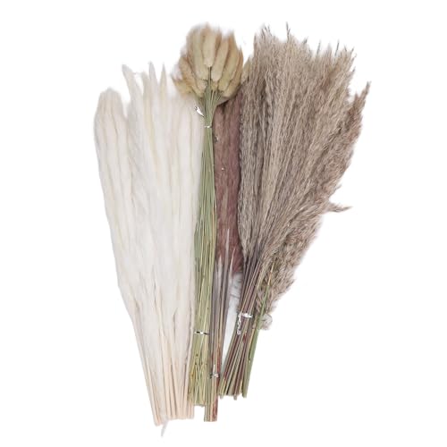Buquê de Grama de Pampas Com 110 Peças, Flores Secas de 17 Polegadas, Variedade Cuidadosamente Selec