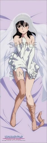 Amazon.co.jp: ストライク・ザ・ブラッド 姫柊 雪菜 抱き枕カバー : ホビー