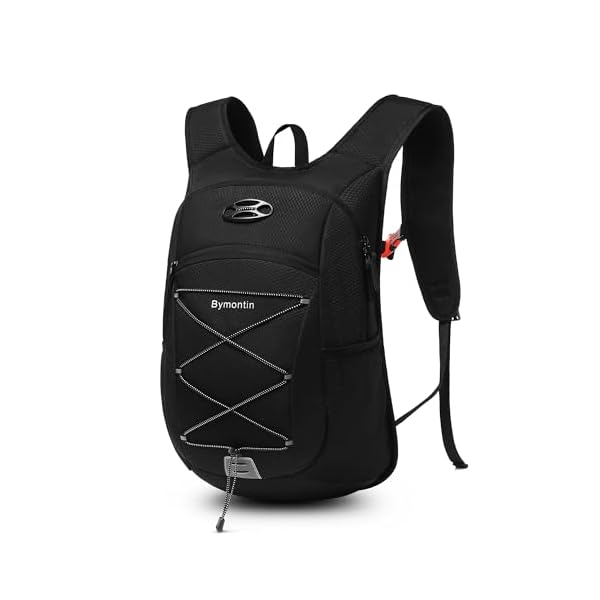 Ultra-Light Soft Daypack 15L/20L, Cushioned Breathable Back Panel Backpack, Lightweight Packable Travel Backpack (Black, 15L)