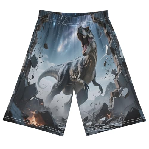 ALAZA Dinosaur Roar Animal Boys Athletic Shorts Kids with Pockets Shorts for boy Girl Size 6-8 Years Multicolor