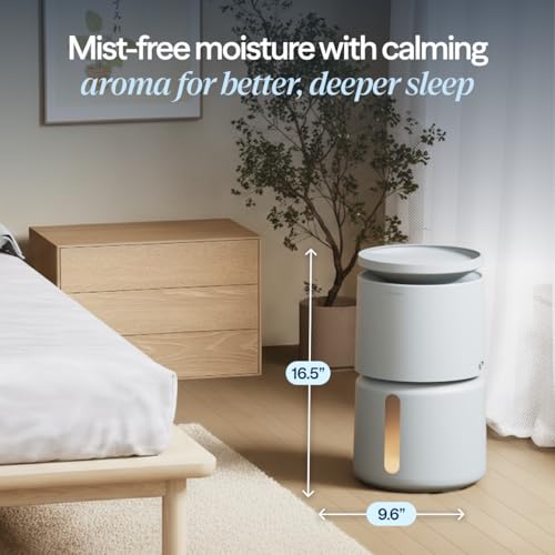 Image of BLUEAIR Room Humidifier - DreamWell - 72Hr Top-Fill Mist-Free InvisibleMist Technology Aroma Stone for Essential Oils and Soothing Mood Lighting - Quiet Operation for Bedroom and Home Use, Grey