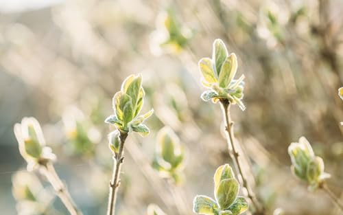 Page de couverture de 26 – Doing All the Healing Work But Still Not Happy? Reclaim Joy as a Healer
