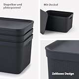 Jive Dekobox 3er- Set Aufbewahrungsbox 16l mit Deckel, Kunststoff (PP recycelt), türkis/anthrazit, 3x16l (37.5 x 27.8 x 29.8 cm)