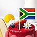 GentleGirl 100 Pcs South Africa Flag South African Toothpick Flags Small Mini South African Cupcake Toppers Stick Flags Decorations