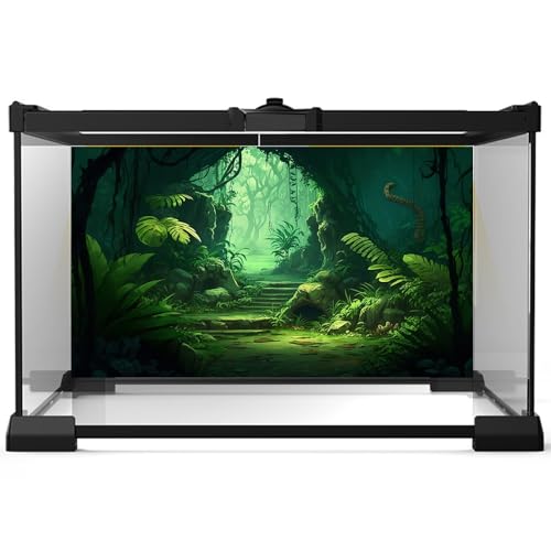 Image of Cartoon Jungle Cave Aquarium Background Green Prehistoric Tropical Leaves Fish Tank Background Small Path Misty Rainforest Reptile Tank Backgrounds Foggy Cave Reptile Enclosure Backgrounds 48x20in