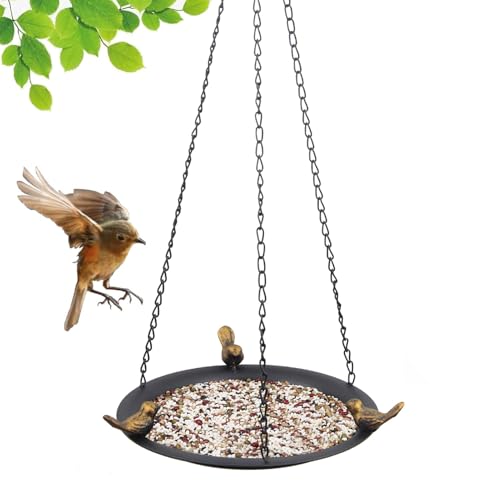 Bain pour oiseaux extérieur : plateau d'eau jardin et balcon
