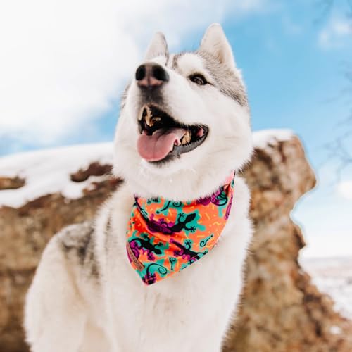 Image of Wilderdog Dog Bandana with Lightweight Quick Drying Poly-Blend Mesh Material in The Lizards