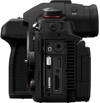 Amazon.com : Panasonic Lumix GH6 Mirrorless Camera (DC-GH6BODY
