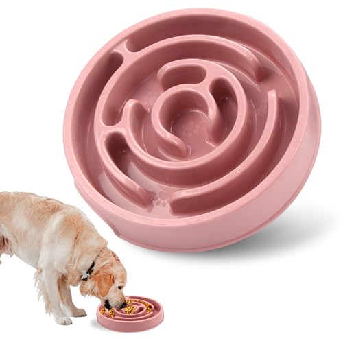 Gamelle Anti-Glouton pour Chien Moyen et Chat - Bol Alimentaire Ralentisseur