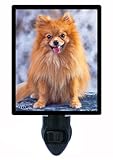 Dog Night Light, Pomeranian, Pet, Dogs