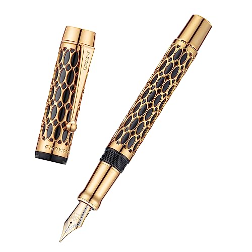 Stylo-plume Jinhao 100 squelette ovale noir plume extra fine