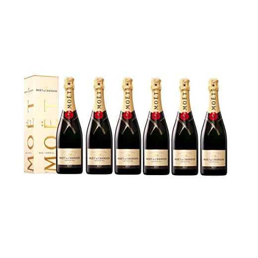 CLISPEED Weinträger Einkaufstasche Zwei Flaschen Isoliert Neopren Bierdosen Champagner Wasser Getränk Flaschentasche Halter für Reiseflaschenschutz 6 Flaschen Beutel Lila 5 - 6 FLASCHEN - Moët & Chandon Champagne Imperial Brut 750ML