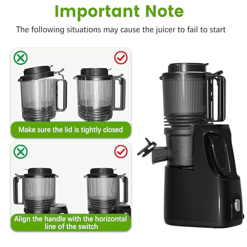 Cold Press Juicer, 6.5" Wide Feed Chute Juice Extractor Machine with Handle, High Juice Yield, 350W Professional Slow Masticating Juicer for Whole Vegetables & Fruits, Easy to Clean for Batch Juicing - Image 6