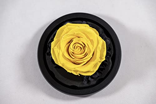 YourRoses®, vera rosa di alta qualità, in vetro, con una splendida confezione regalo, lunga durata e elegante regalo come prova d'amore, un regalo dal cuore (giallo)