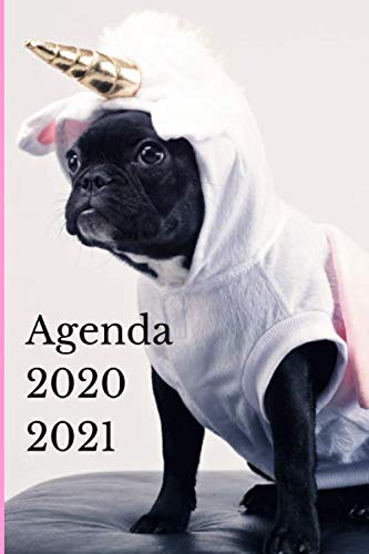 Télécharger Agenda scolaire 2020-2021: Un agenda licorne girly et original pour une année scolaire réussie ! D Francais PDF